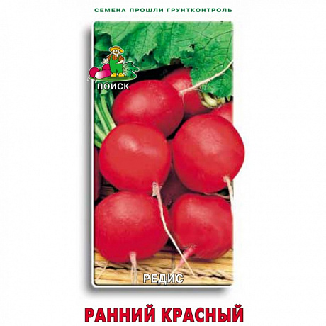 Редис Ранний красный фото Редис Ранний красный 