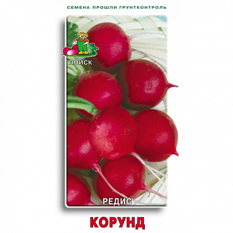 Редис Корунд фото Редис Корунд 